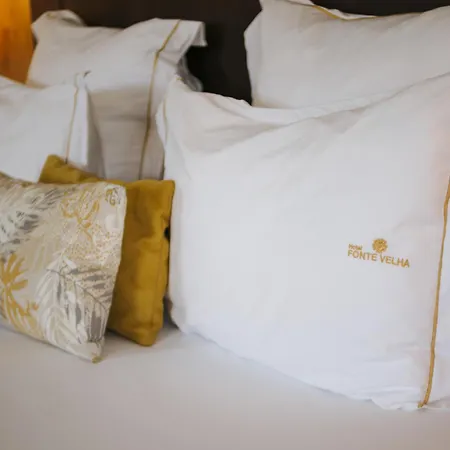 Fonte Velha 3* Ponte da Barca